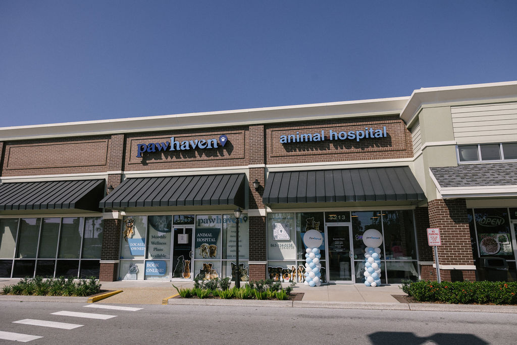 Paw Haven Animal Hospital Lakeland